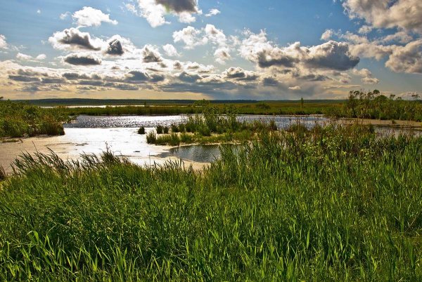 Удмуртия Родниковый край