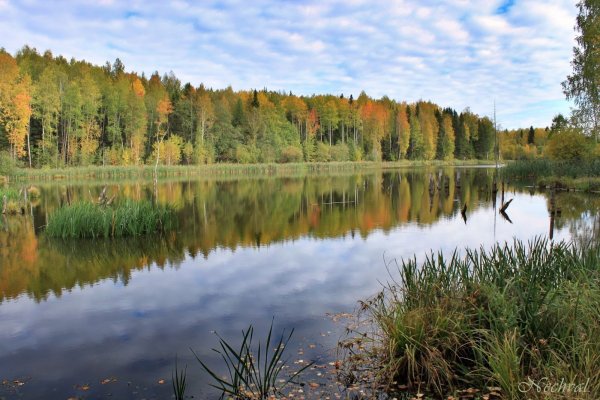 Природа Удмуртии Родниковый край