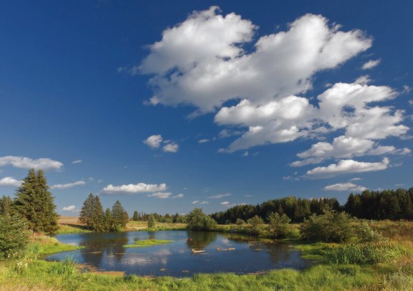 Природа Удмуртии Родниковый край