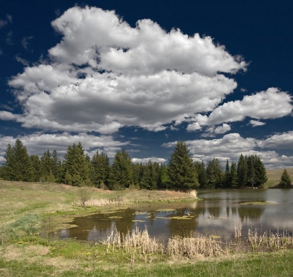 Деревня Яковлевское на реке Улейма