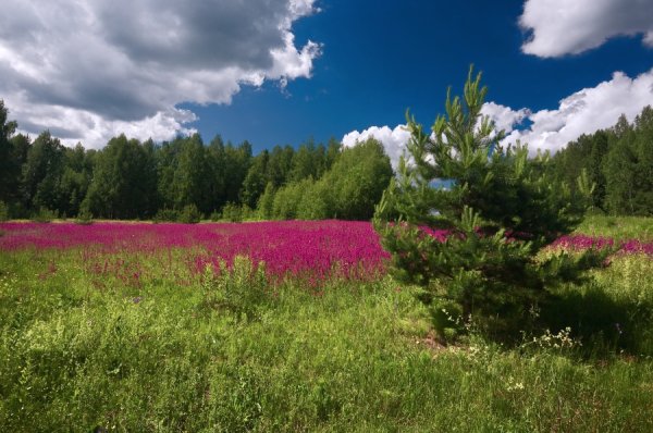 Бабьинские горы Удмуртия