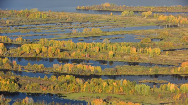 Июнь Удмуртия природа Италмас