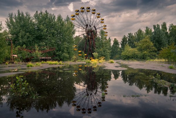 Припяти сейчас природа
