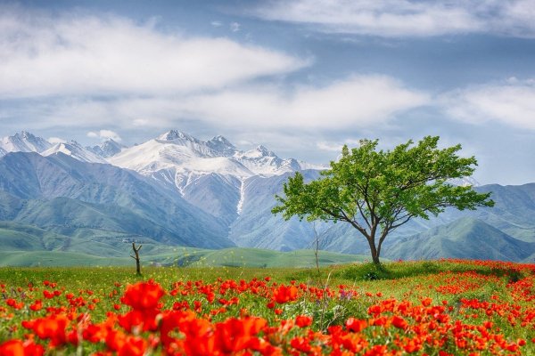 Бишкек горы