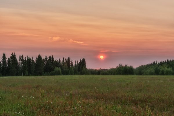 Поля Республики Коми