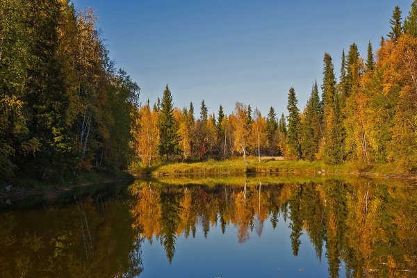 Природа Печора Коми осень