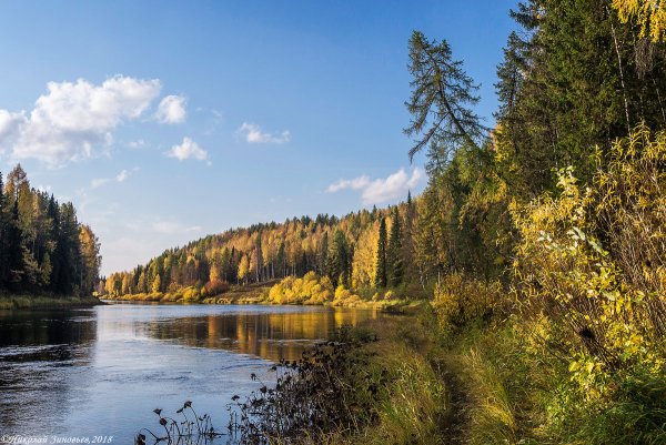 Река Ухта Республика Коми