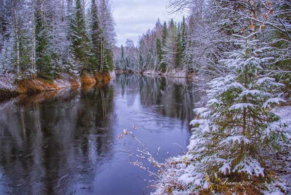 Республика Коми природа