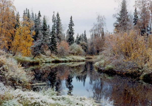 Природа Коми Инта