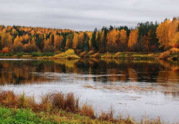 Река Ухта Республика Коми