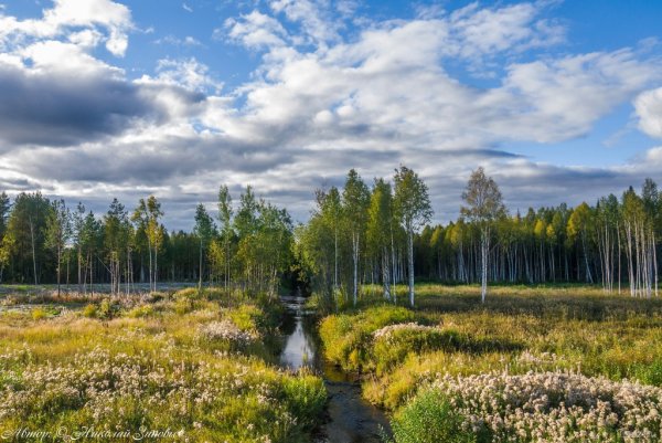 Ухта Коми природа