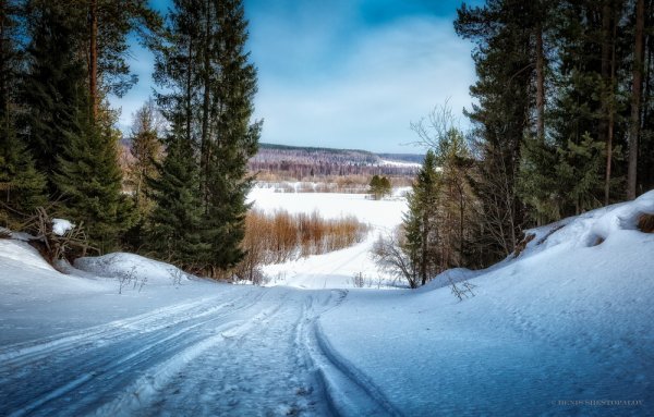 Сыктывкар природа