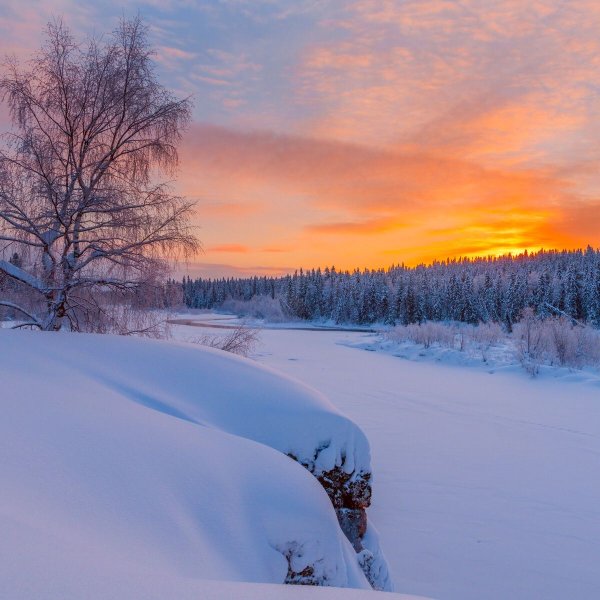 Природа Печора Коми зима