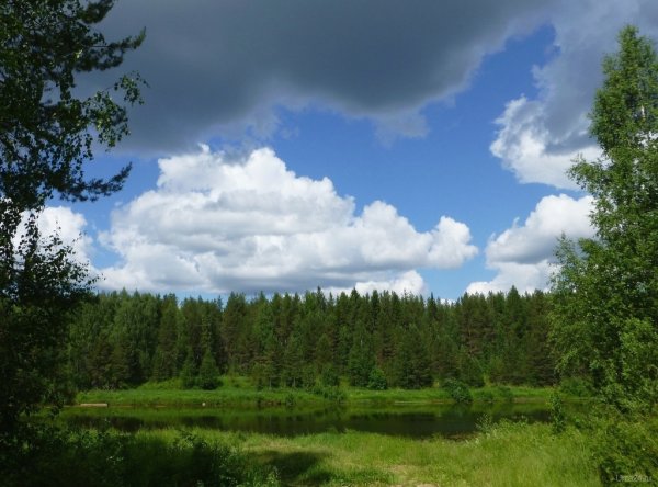 Комплексный заказник Седьюский Ухта