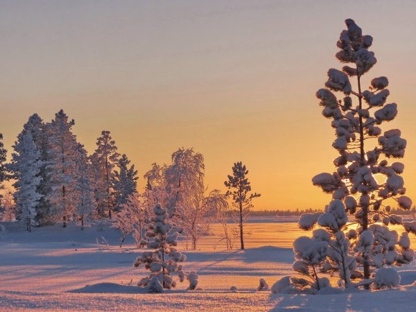 Север Республики Коми