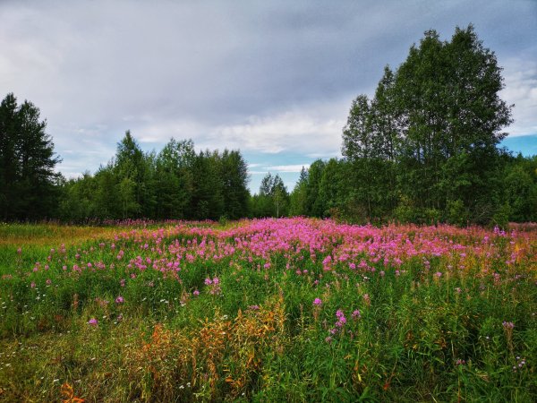 Республика Коми природа