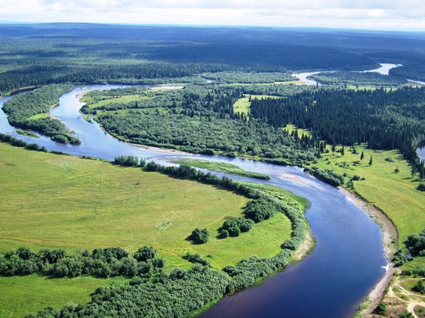 Девственные леса Республики Коми