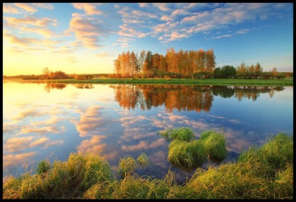 Природа ХМАО Сургут