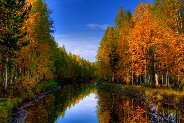 Сургутский район природа