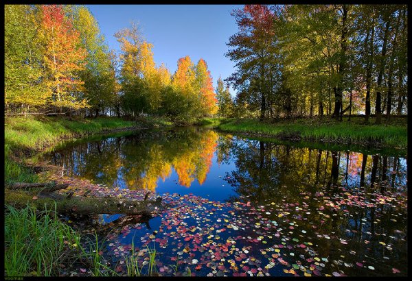 Сургутский район природа