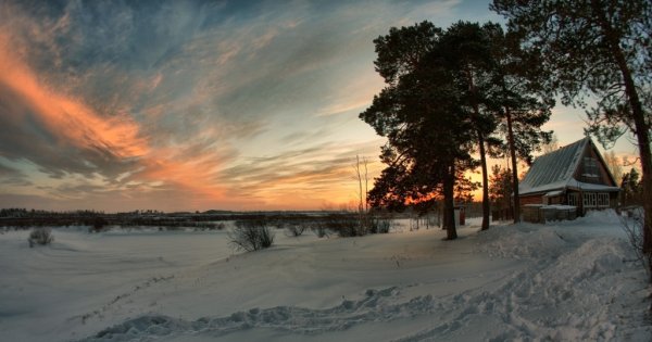 Сургут пейзаж
