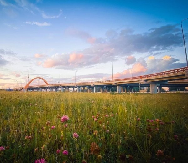 Сургут природа фото