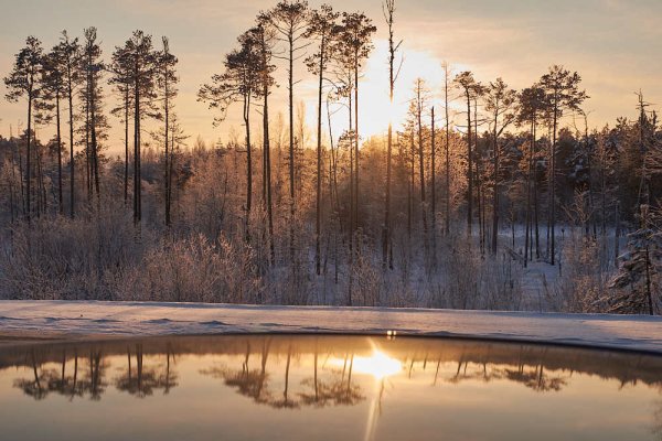 Фотографии разных пейзажей из Сургута