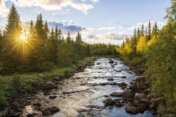 Река Левгус Карелия