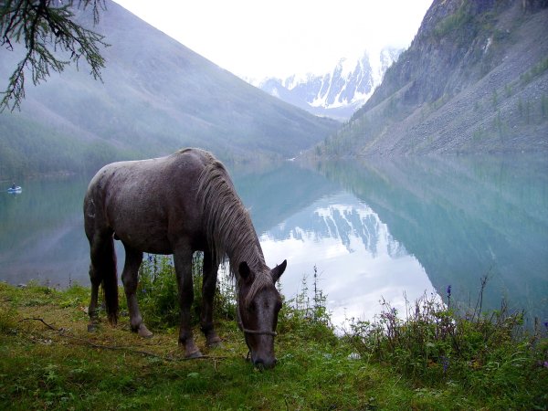 Республика Тыва природа