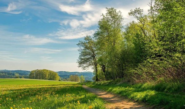 Русская природа