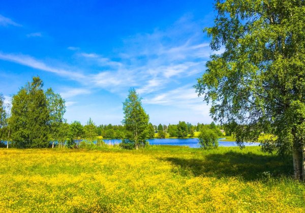 Русская природа