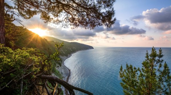 Бетта черное море