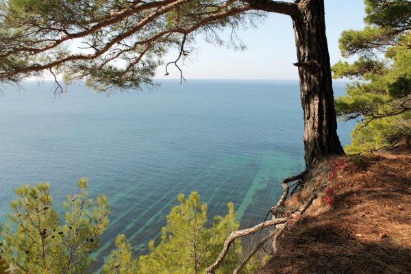 Прасковеевка Сосновый Бор