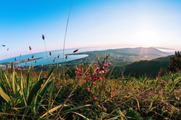 Парк Маркхот Геленджик