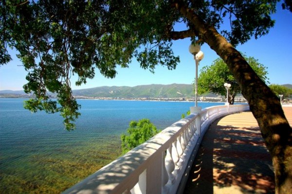 Море и набережная с деревом