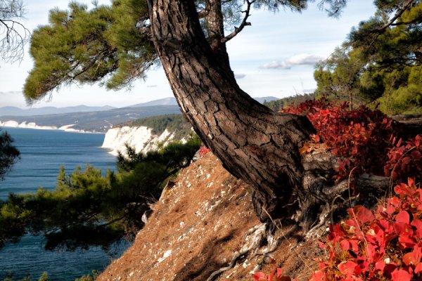 Джанхот Цемесская бухта