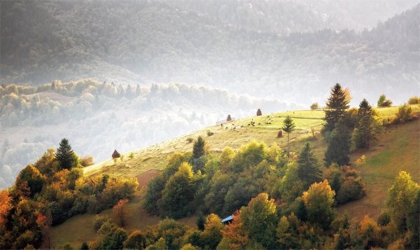 Карпаты в Сербии