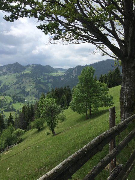 Озеро Блед Словения осень