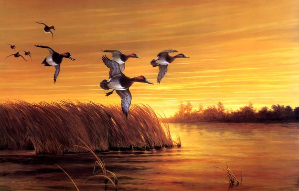 Пейзаж с утками