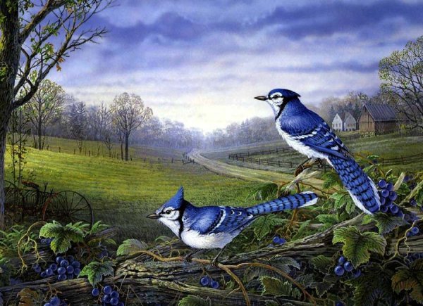 Sam Timm американский художник