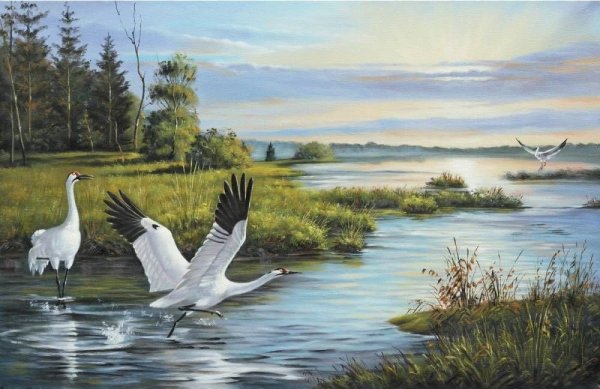 Пейзаж с журавлями