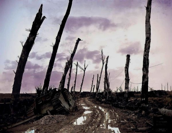 Поле битвы арт