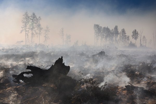 Жан Батист Эдуард Детайль