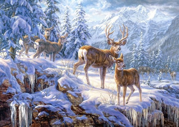 Winter Mountain Light 1000 Castorland Puzzle