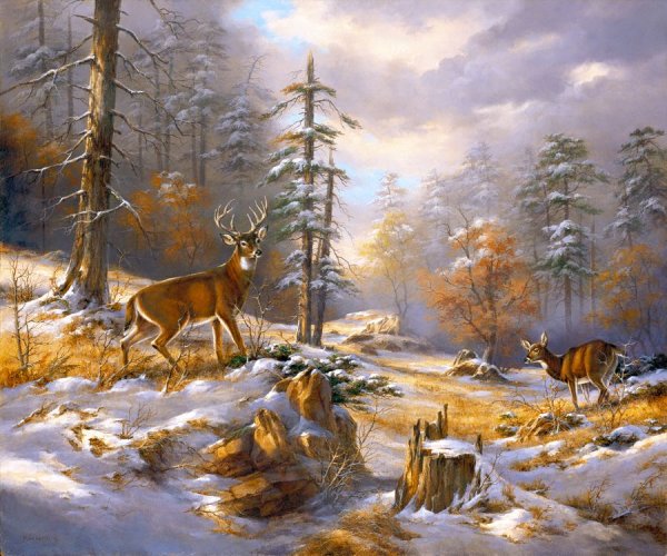 Картины Руди Рейхардта