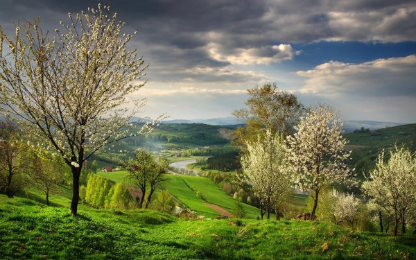 Природа веса