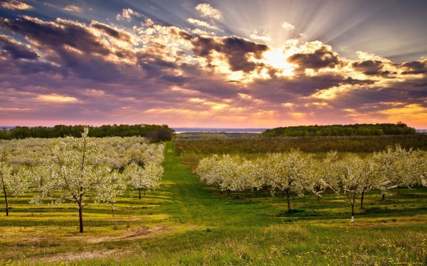 Весенние пейзажи природы