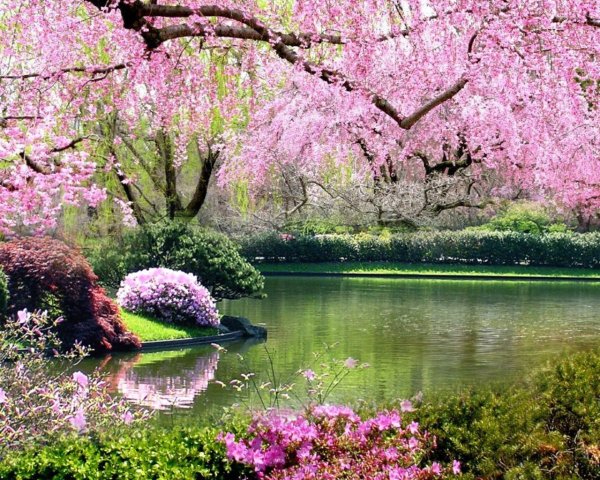 Красивые пейзажи весны