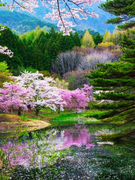 Весенний пейзаж фото