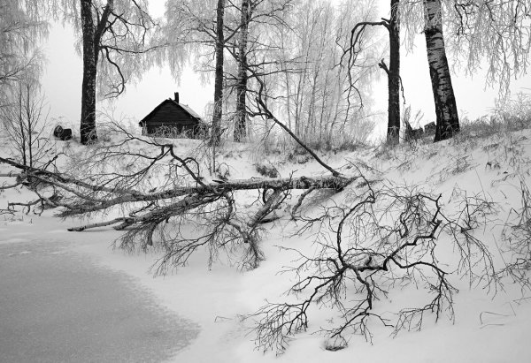 Зимний пейзаж черно белый